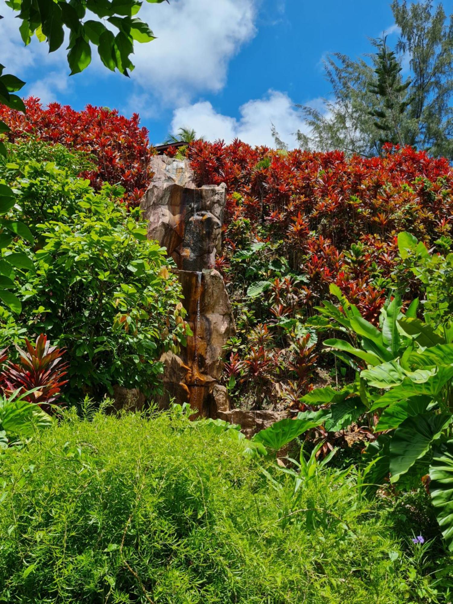 Les Gîtes Kajou Bouillante Extérieur photo