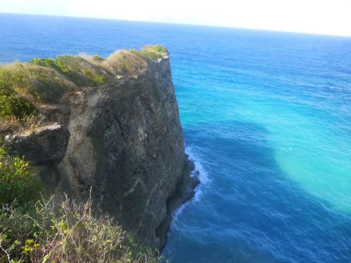 Les Gîtes Kajou Bouillante Extérieur photo