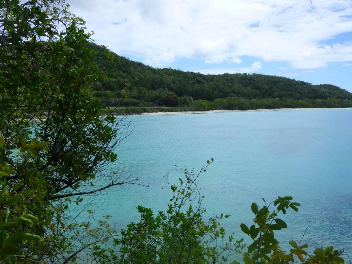 Les Gîtes Kajou Bouillante Extérieur photo
