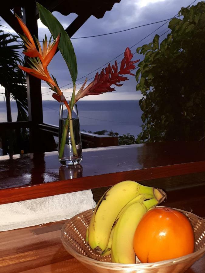Les Gîtes Kajou Bouillante Extérieur photo
